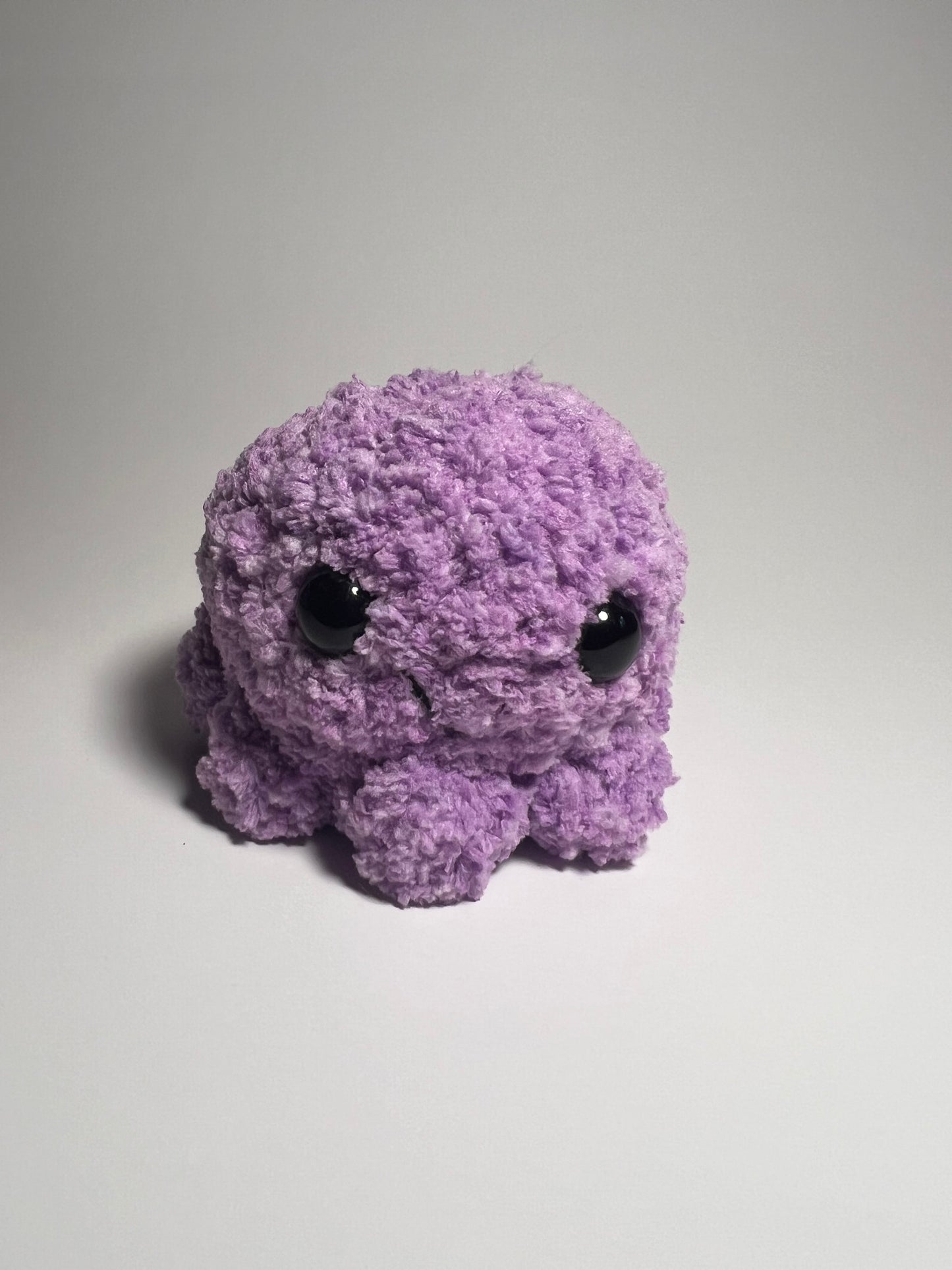 Baby Octopus